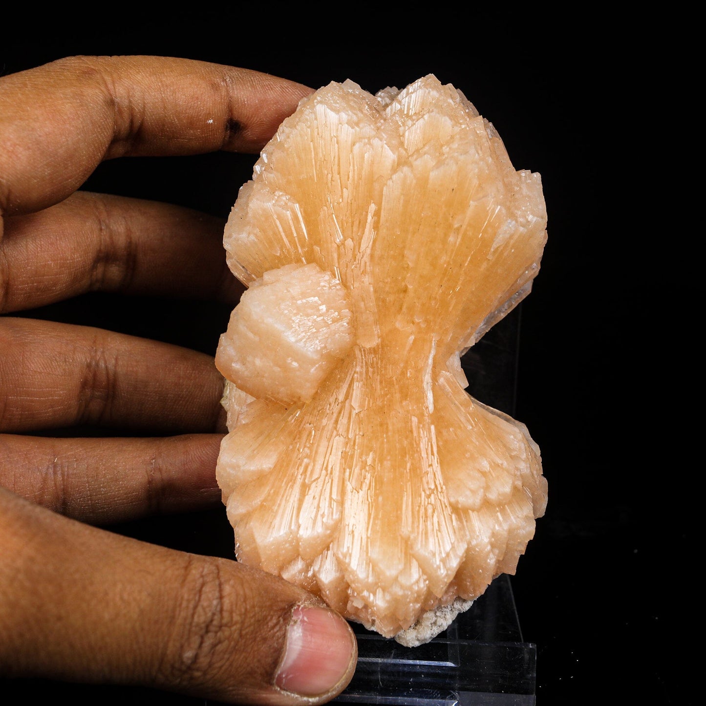 Stilbite Bow Natural Mineral Specimen # B 7004