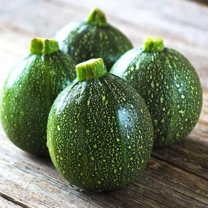 Green Round Zucchini Squash Seeds for Planting – Heirloom, Non-GMO, High-Yield Summer Vegetable Seeds