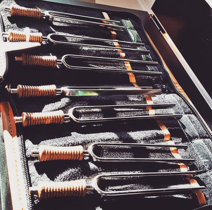 7 Chakra Healing Tuning Fork Set with Travel Case