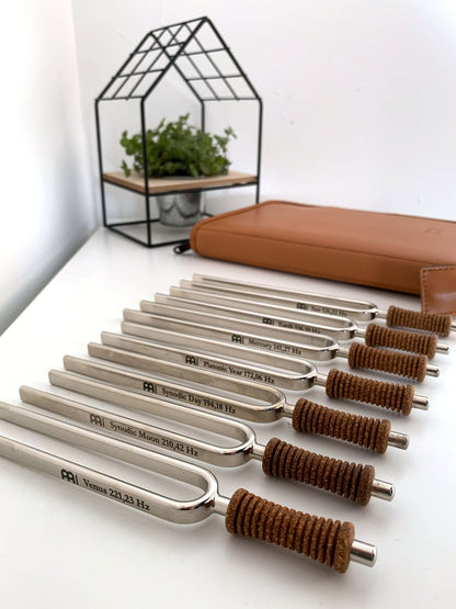 7 Chakra Healing Tuning Fork Set with Travel Case