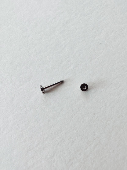 Flat Back Teeny Tiny Monstera Deliciosa Plant Studs