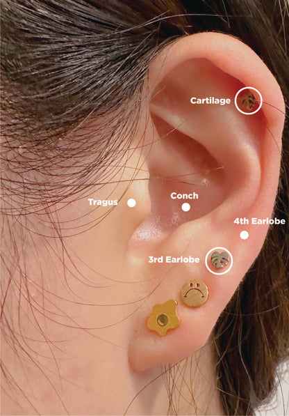 Flat Back Teeny Tiny Monstera Deliciosa Plant Studs