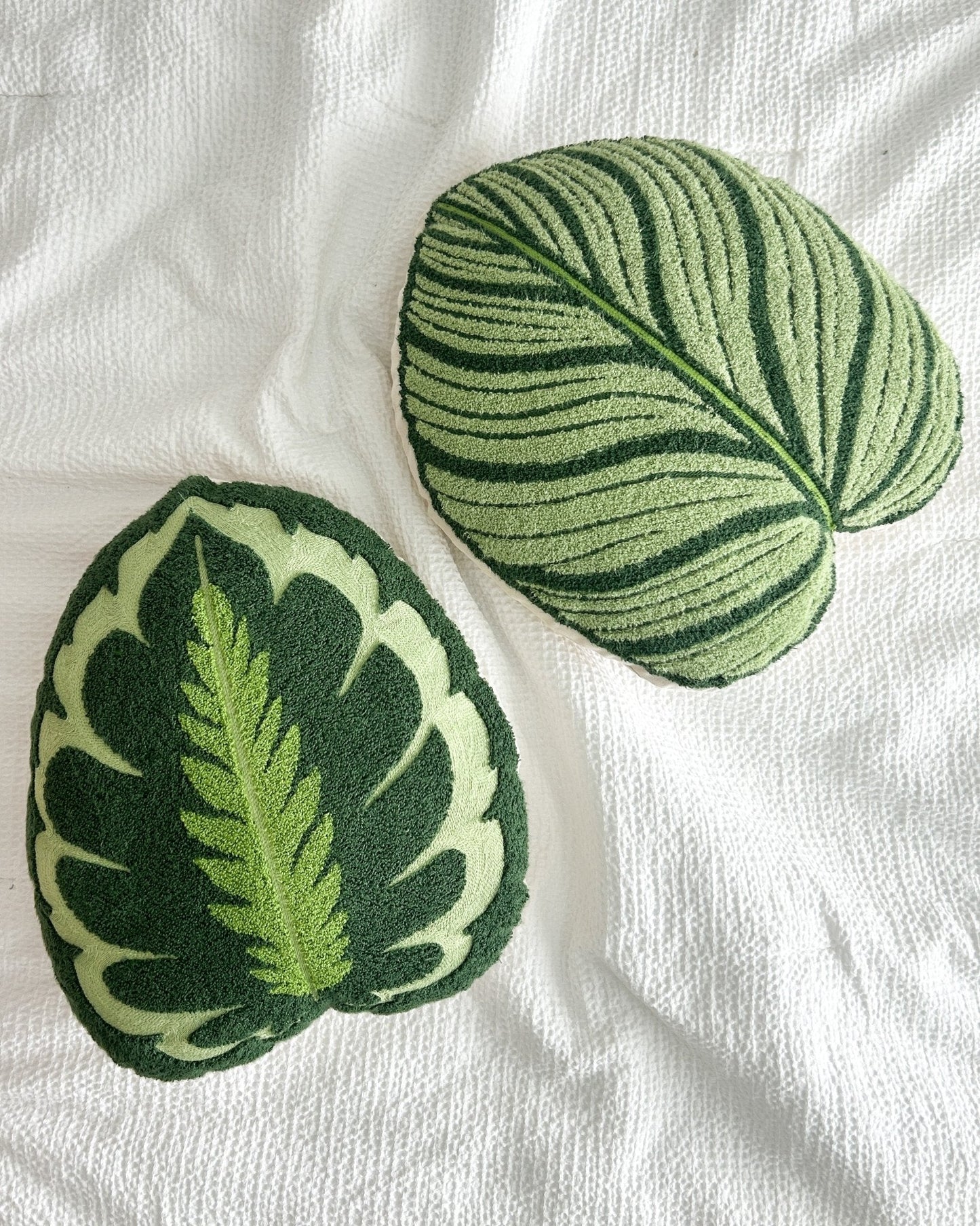 Tufted Calathea Medallion Leaf Pillow