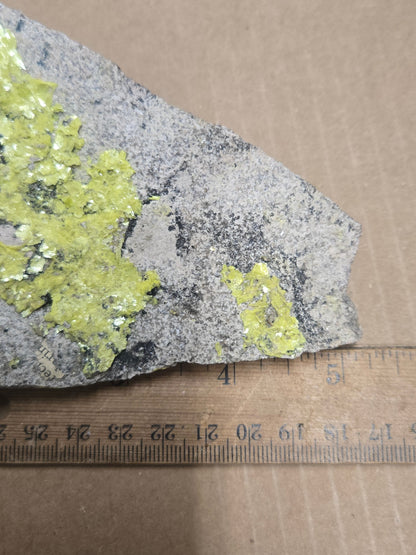 Uranocircite