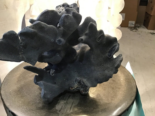 Vintage Blue Ridge Coral- 11"