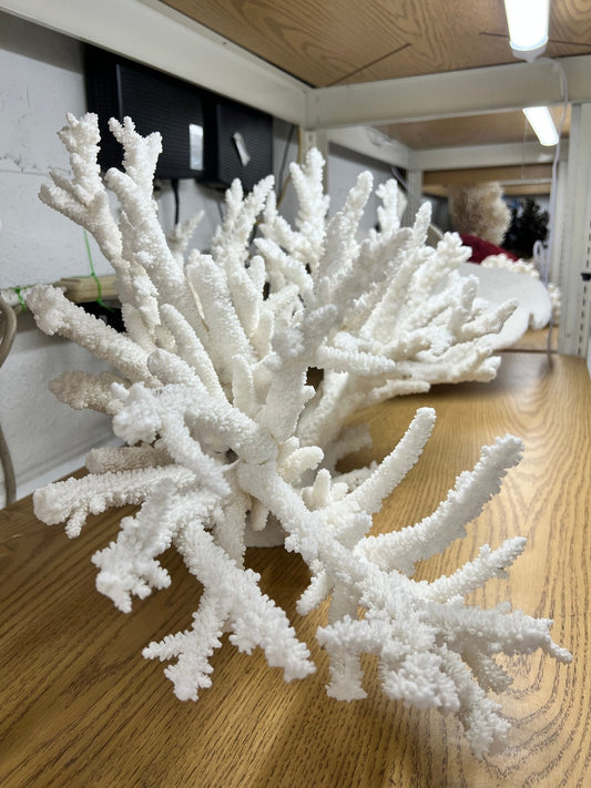 Vintage Branch Coral Creation- 28"