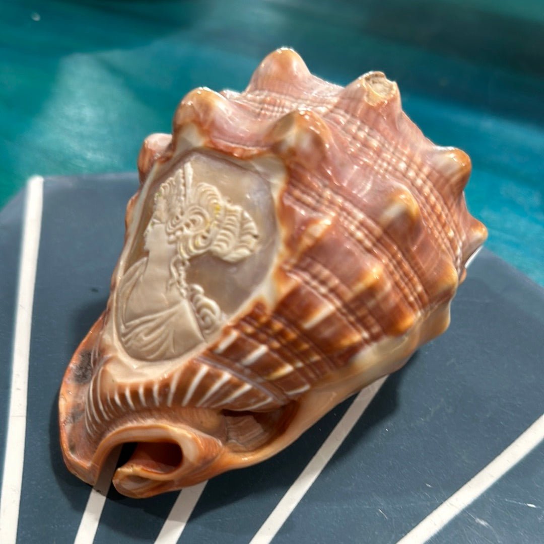 Vintage Carved Woman Cameo Helmet Seashell