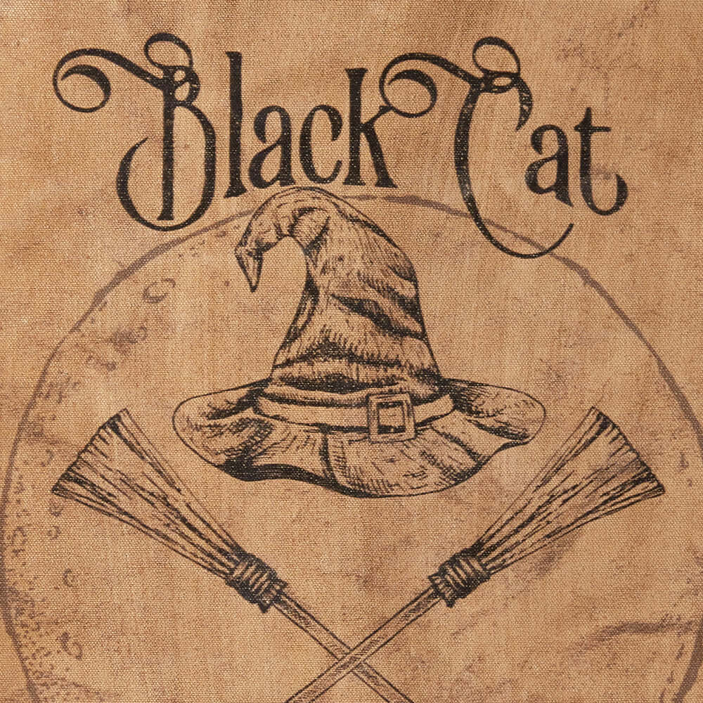 Vintage Halloween Black Cat Broom Flying Lessons Wall Art