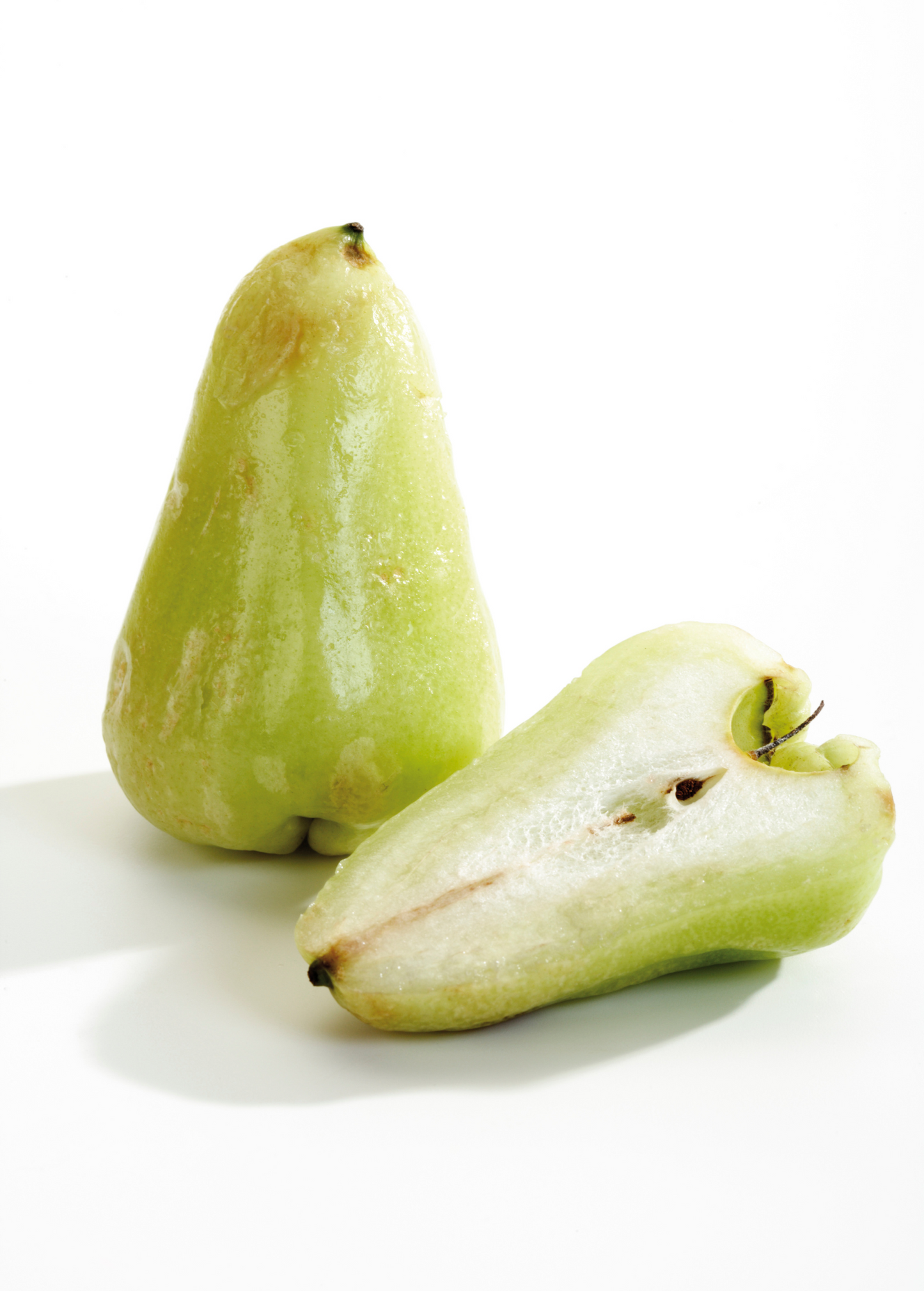 Wax Jambu, Green (Syzygium samarangense)