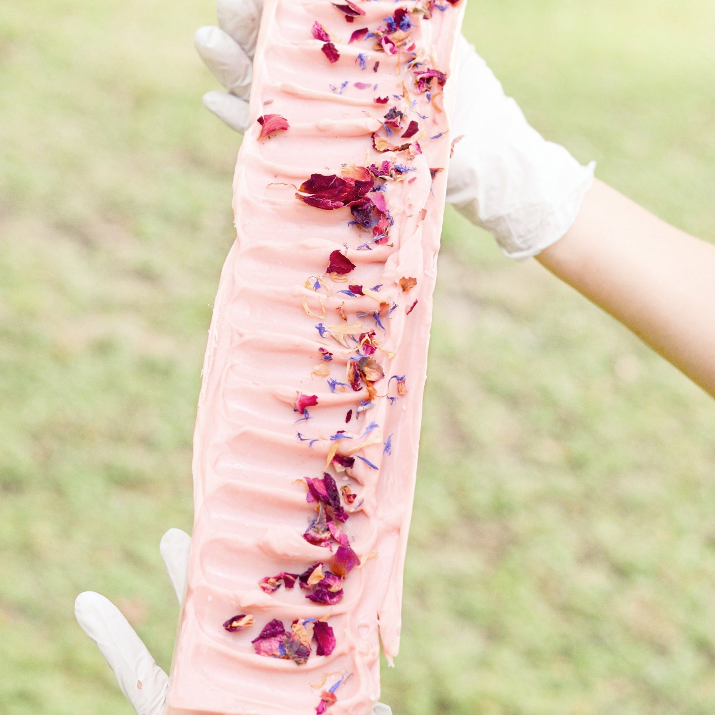 Wild Rose + Honey -- Handmade Tallow Soap Bar