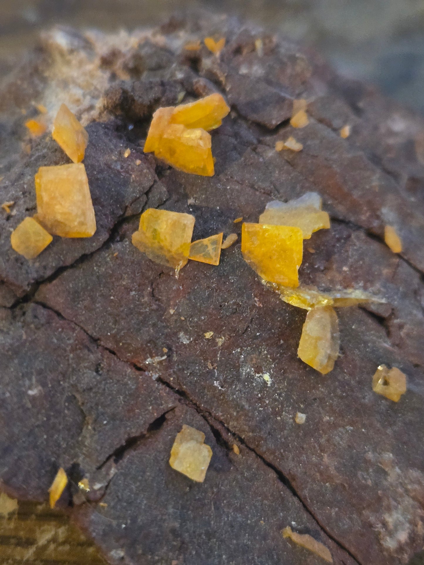 Wulfenite