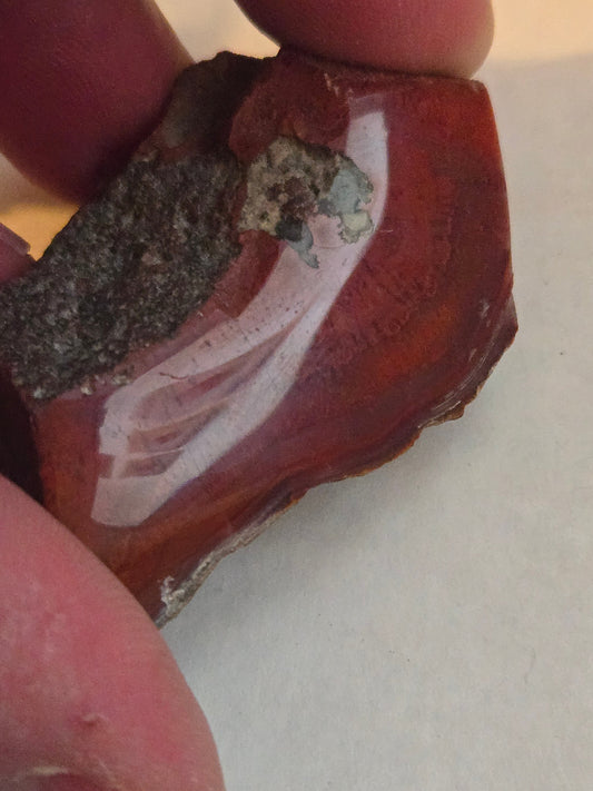 Yellowcat Red Agate specimen