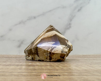 Zebra Jasper Half Rough Cut Base Point – Polished Top for Energy & Balance