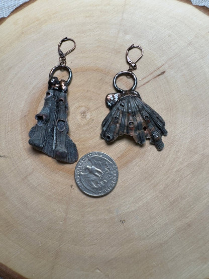 Zepar- Lion Paw Scallop Shell Piece Earrings