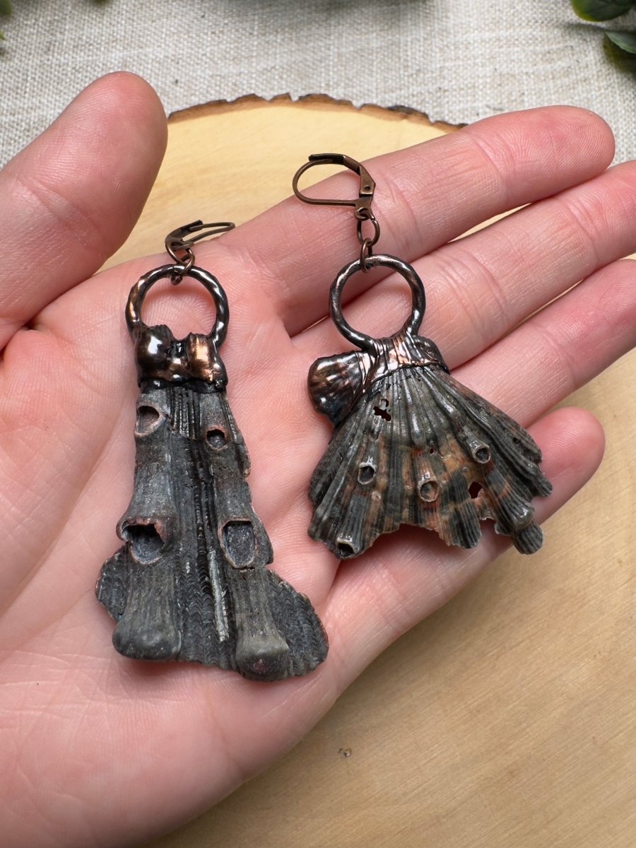 Zepar- Lion Paw Scallop Shell Piece Earrings