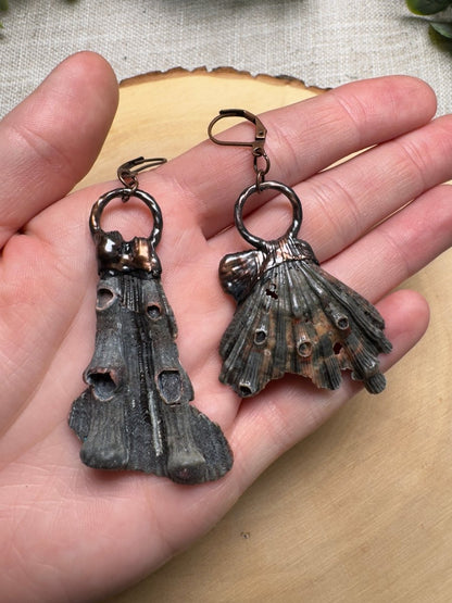 Zepar- Lion Paw Scallop Shell Piece Earrings