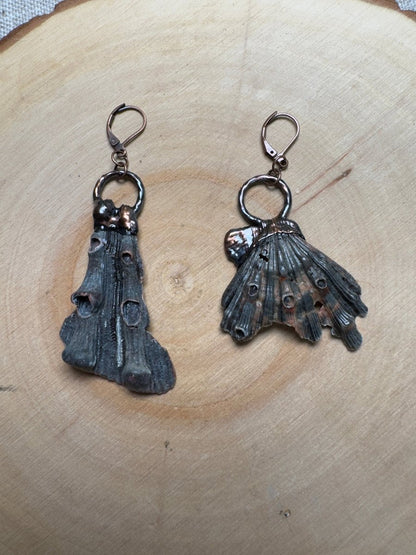 Zepar- Lion Paw Scallop Shell Piece Earrings