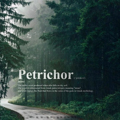 Petrichor - /ˈpetrīˌkôr/ - The Smell of Rain - REED DIFFUSER